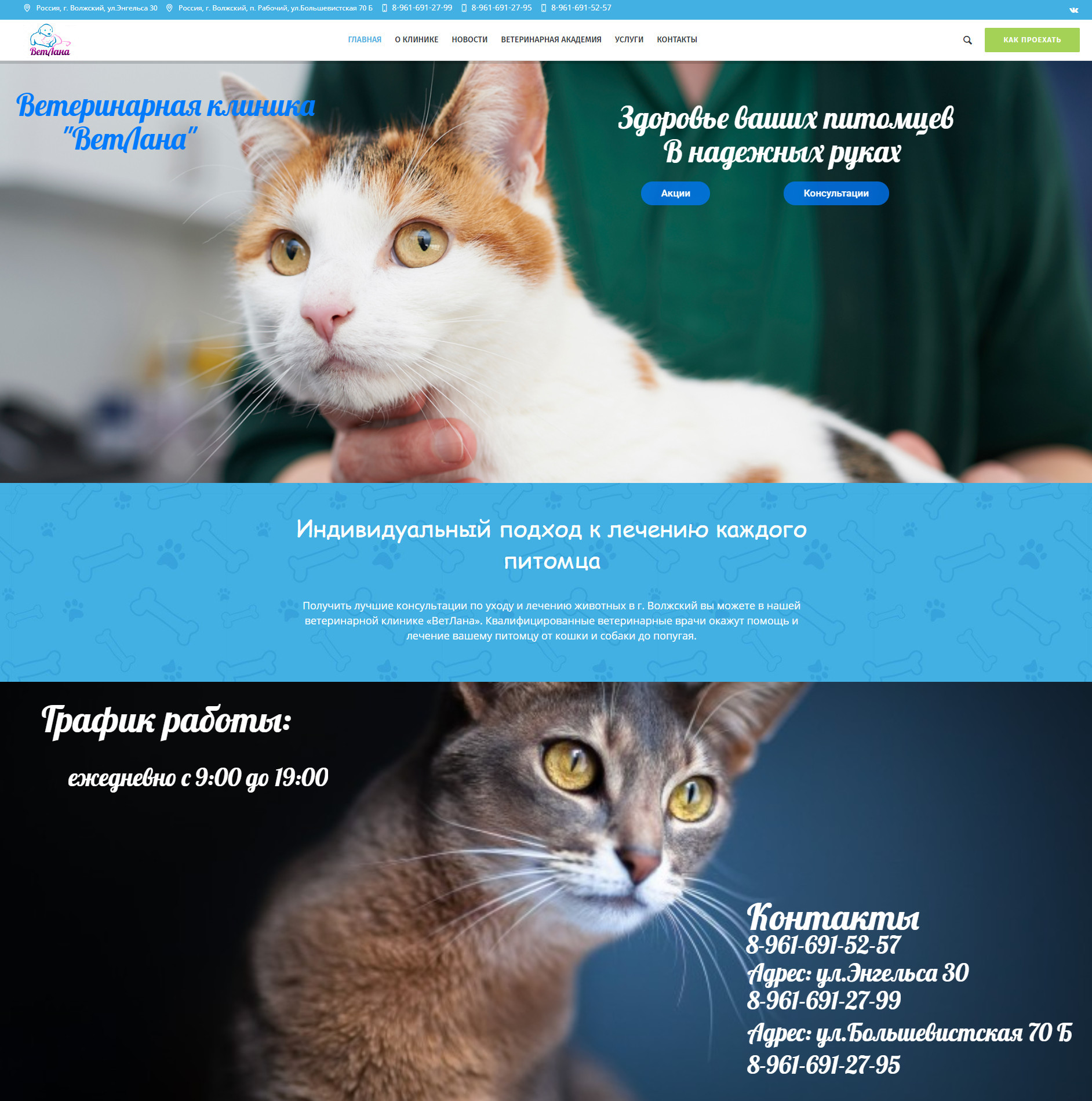 Создание сайта для ветеринарной клиники (Волжский)